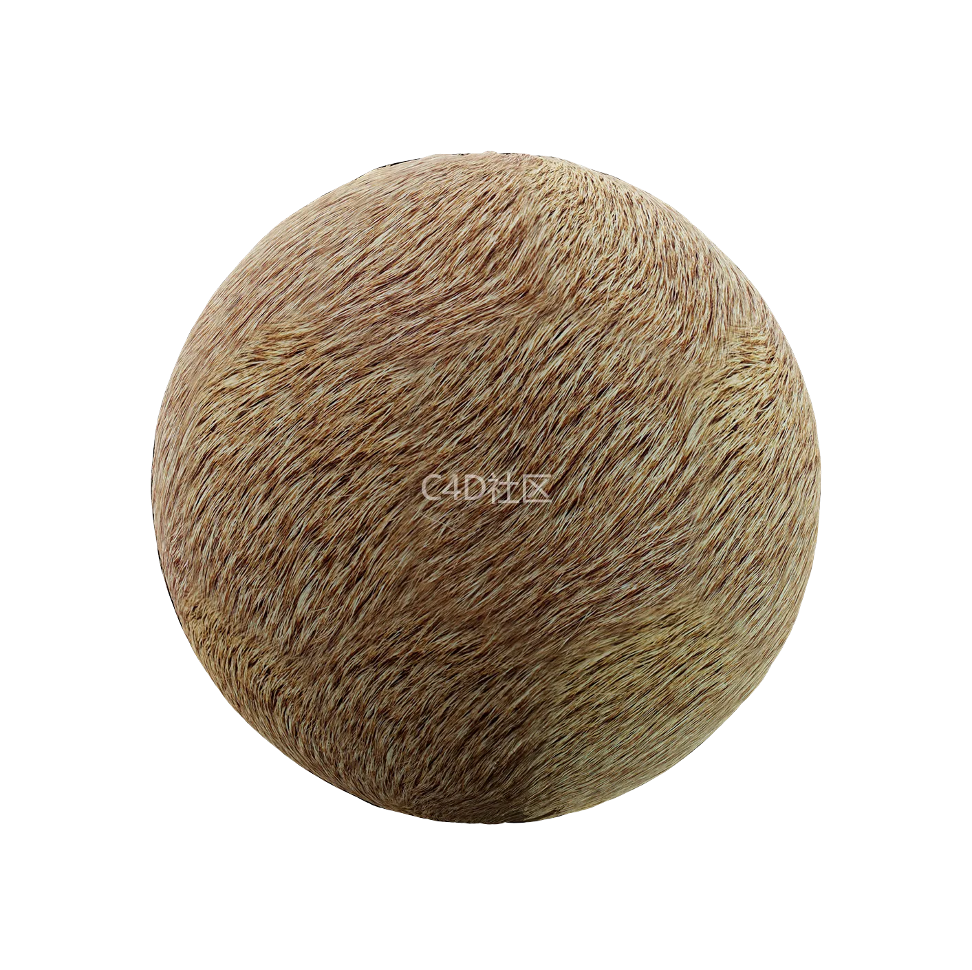 皮毛纹理250528355