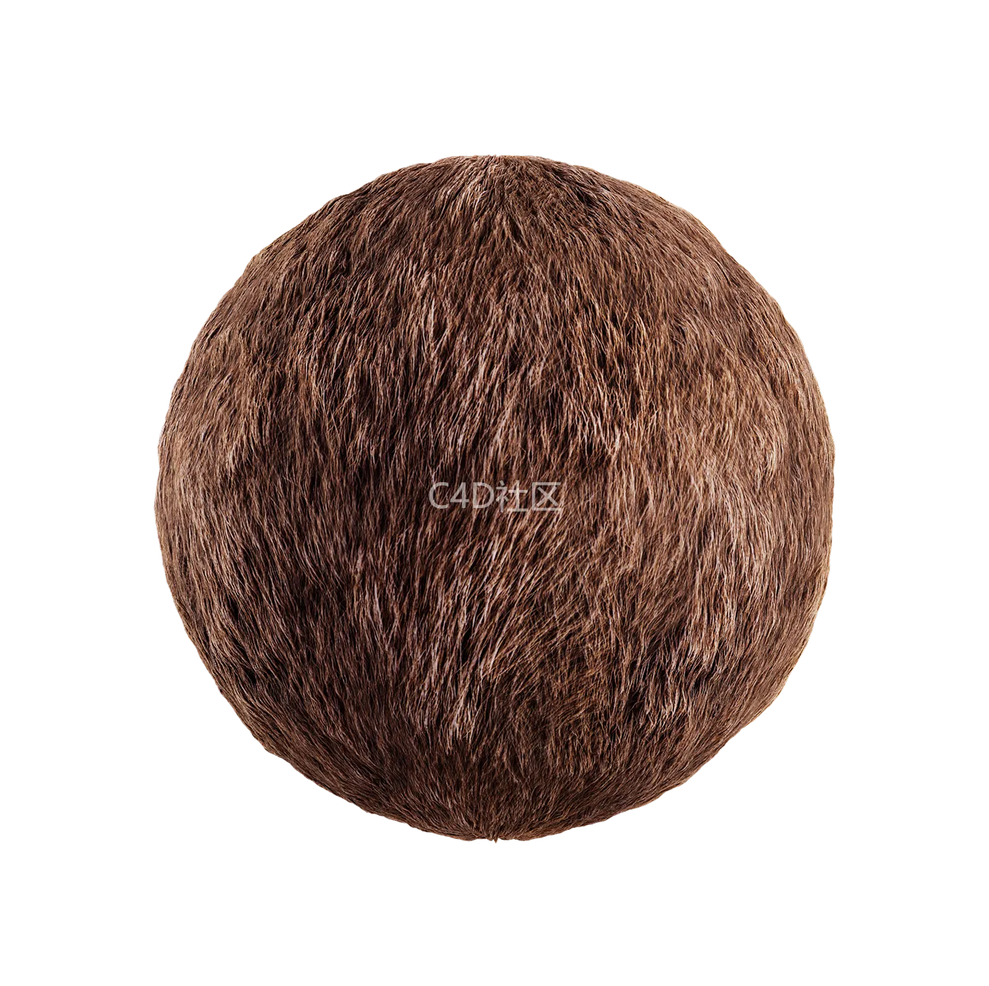 皮毛纹理250528372