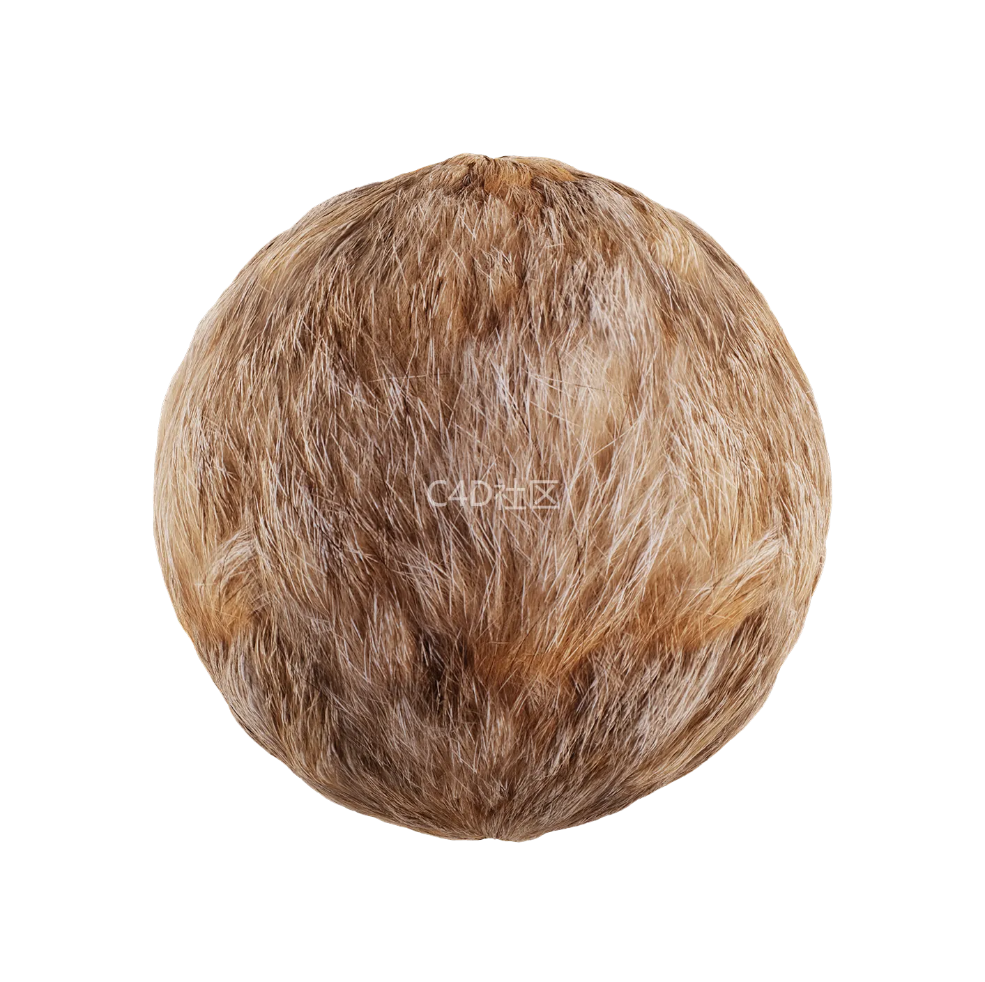 皮毛纹理250528384