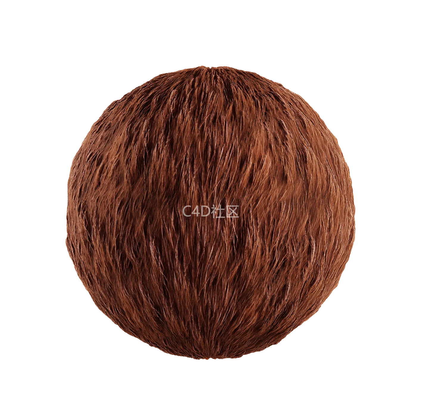 皮毛纹理250528391