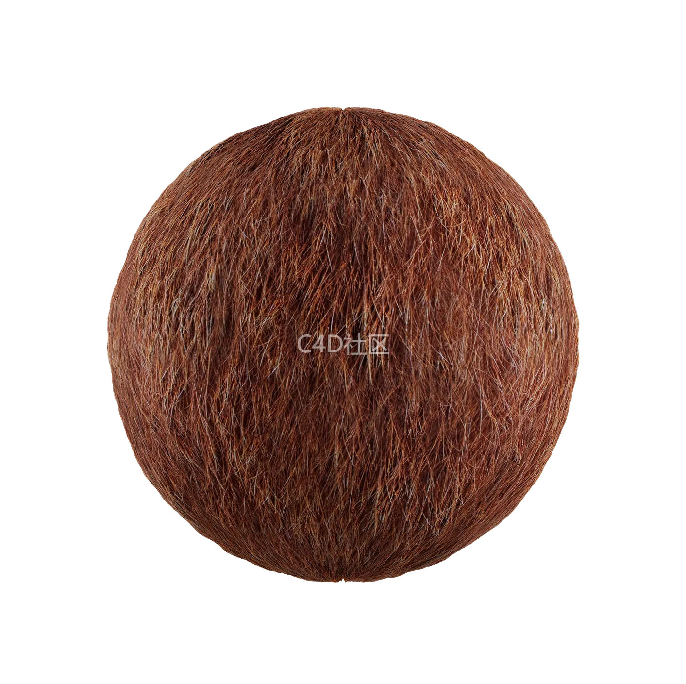 皮毛纹理250528404