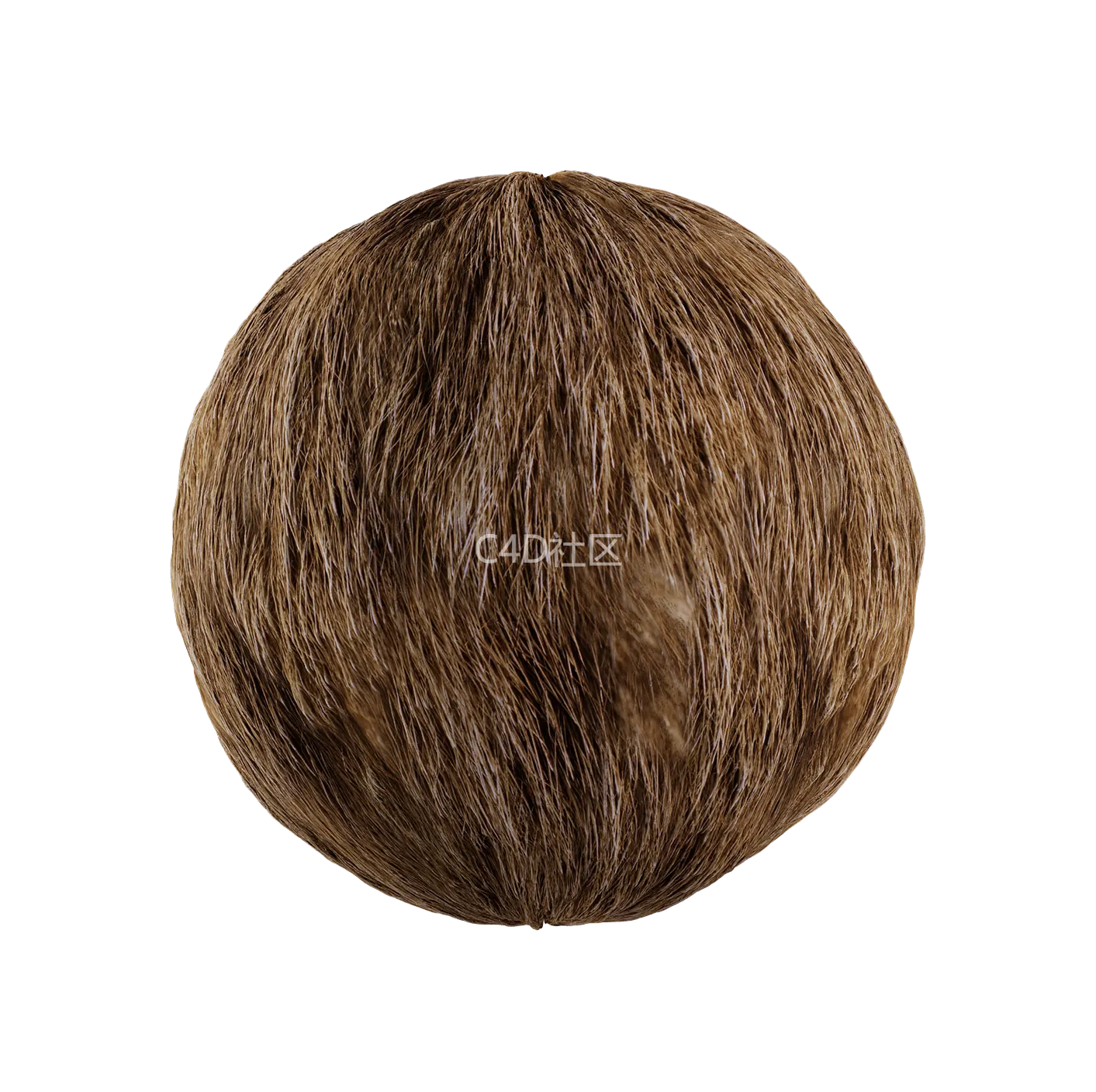 皮毛纹理250528407