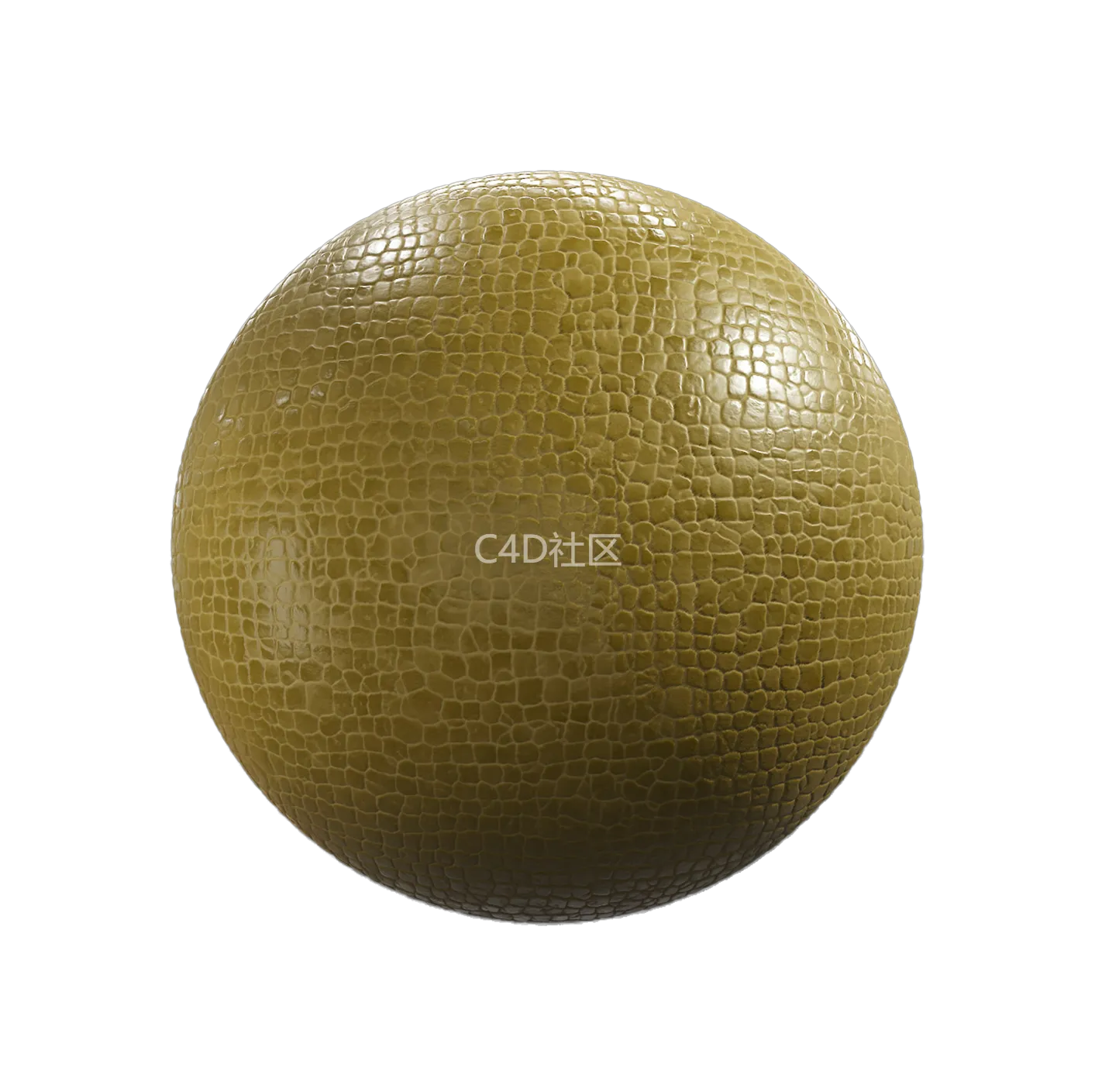 织物皮革鳄鱼52743