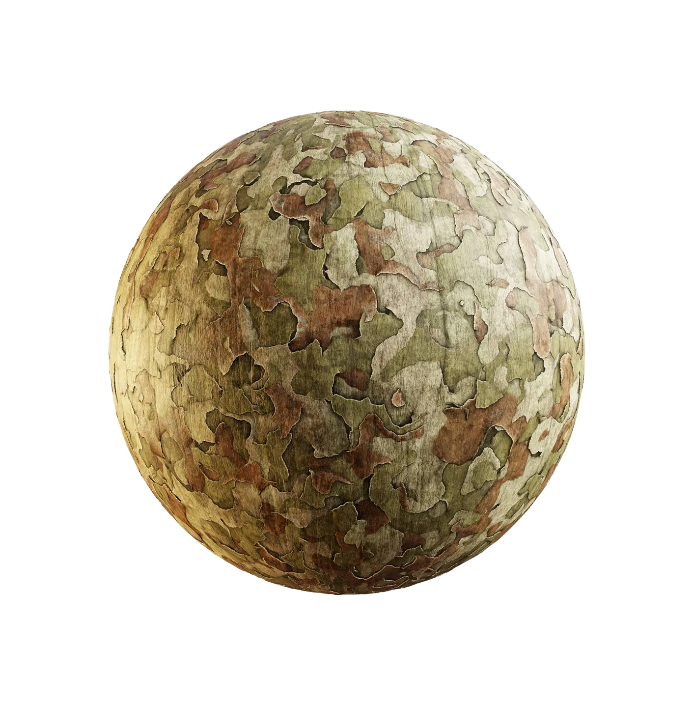 东方梧桐树皮25060897