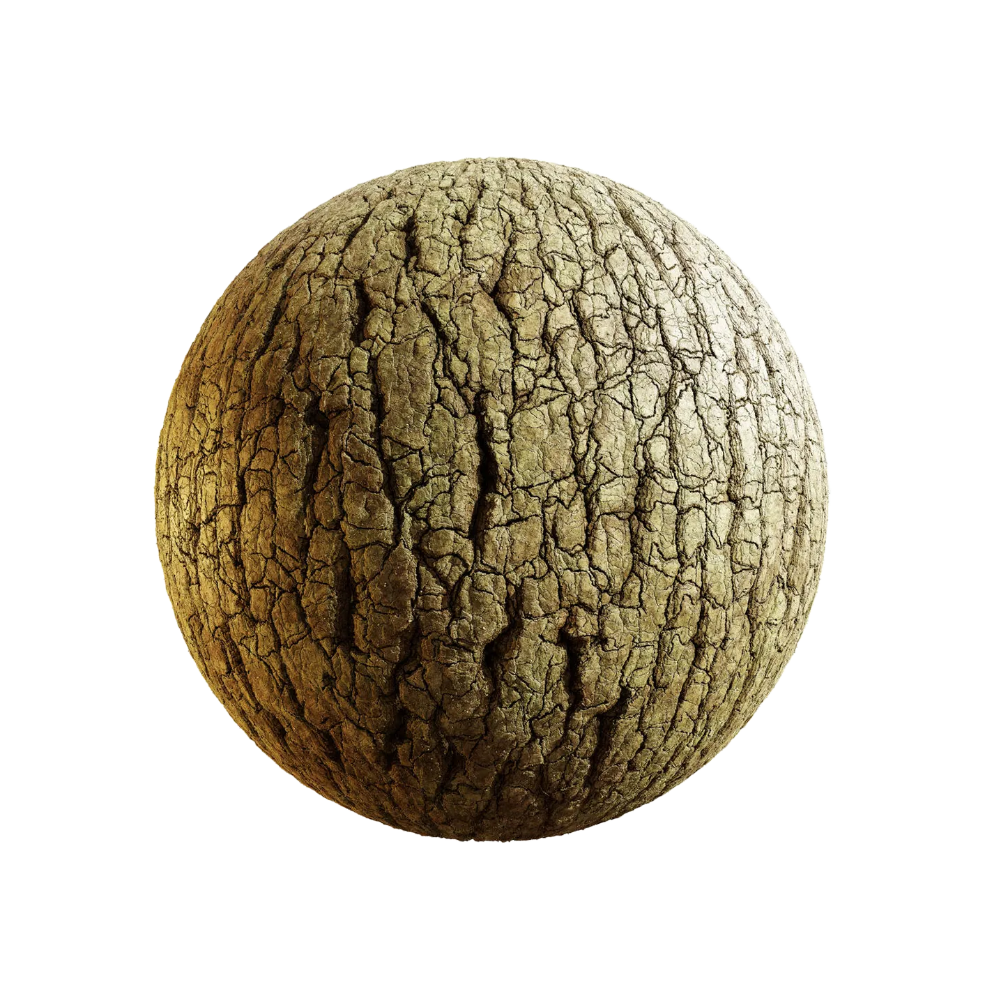 中国白松树皮25060866