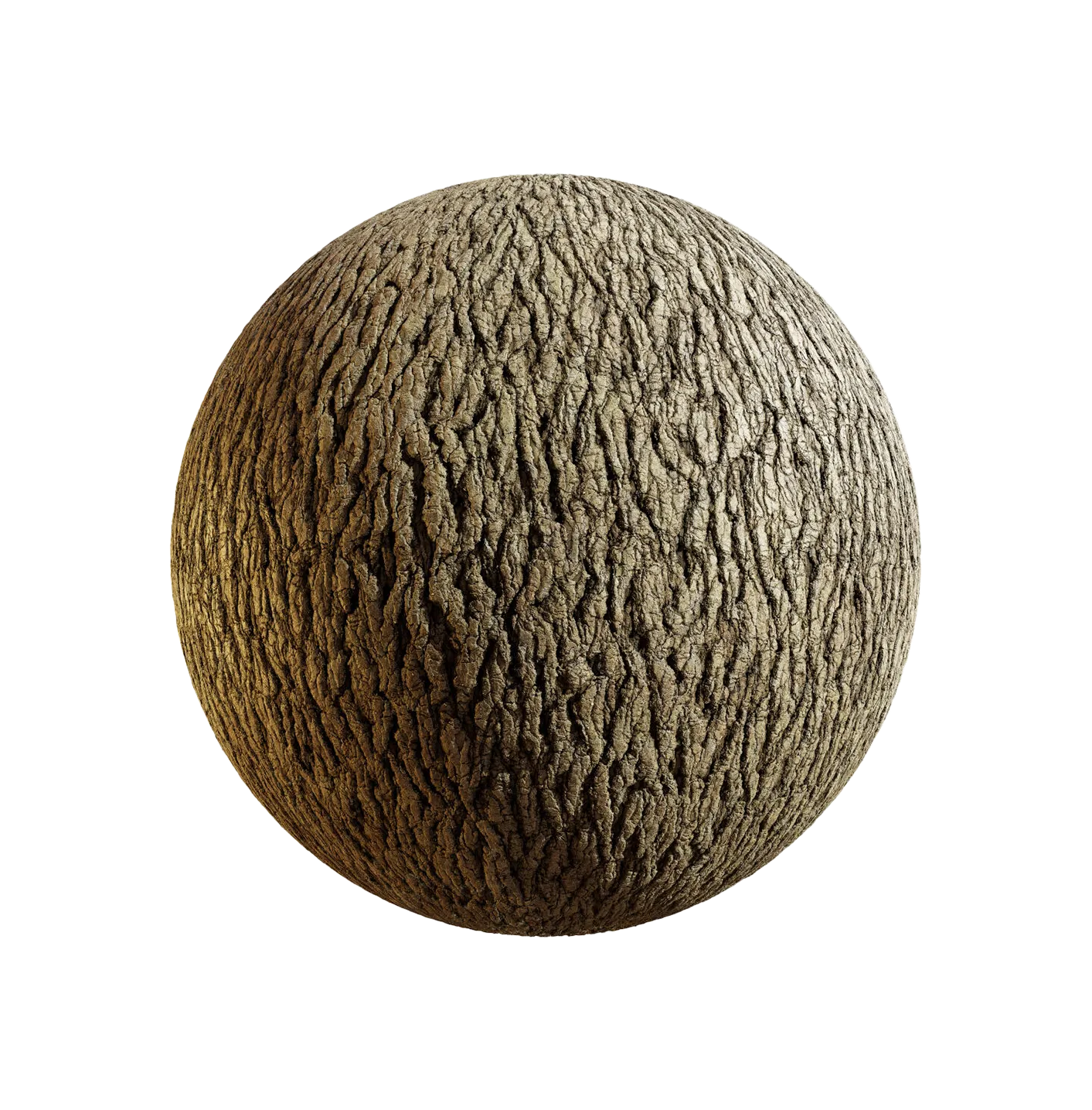 中国白松树皮25060867