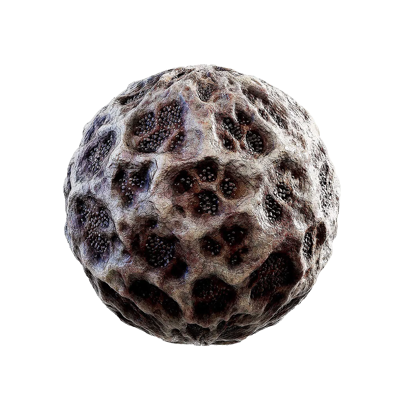 外星骨头2506101187