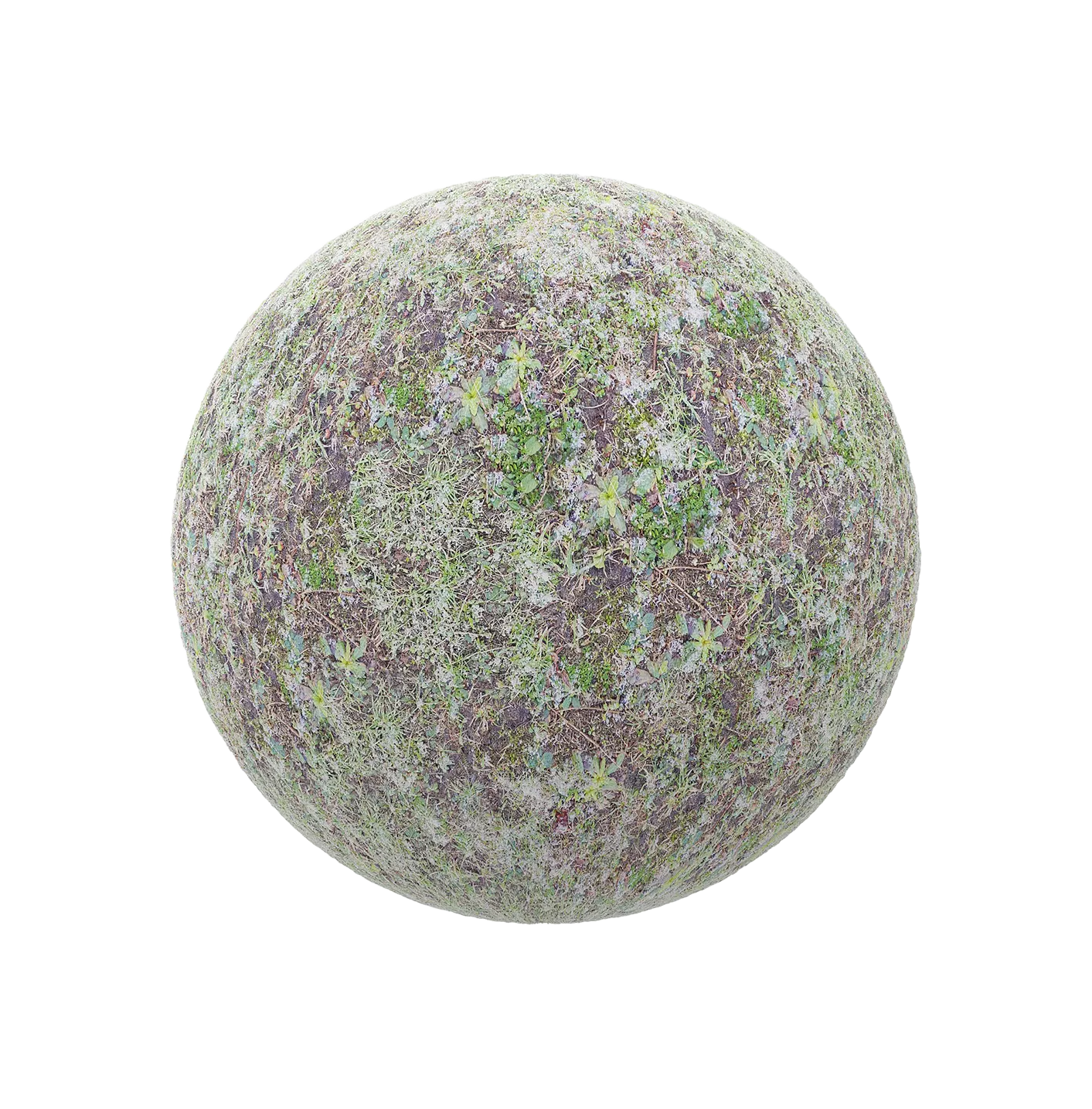 少量雪的草地250609374