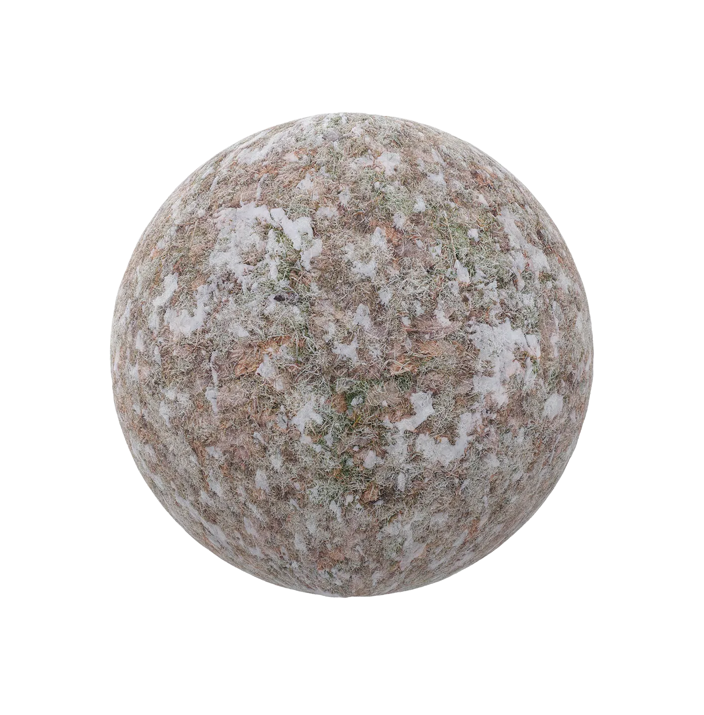 带干树叶的雪250609317