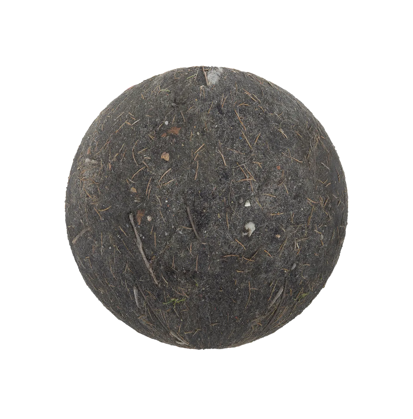 带松针的泥土2506101439