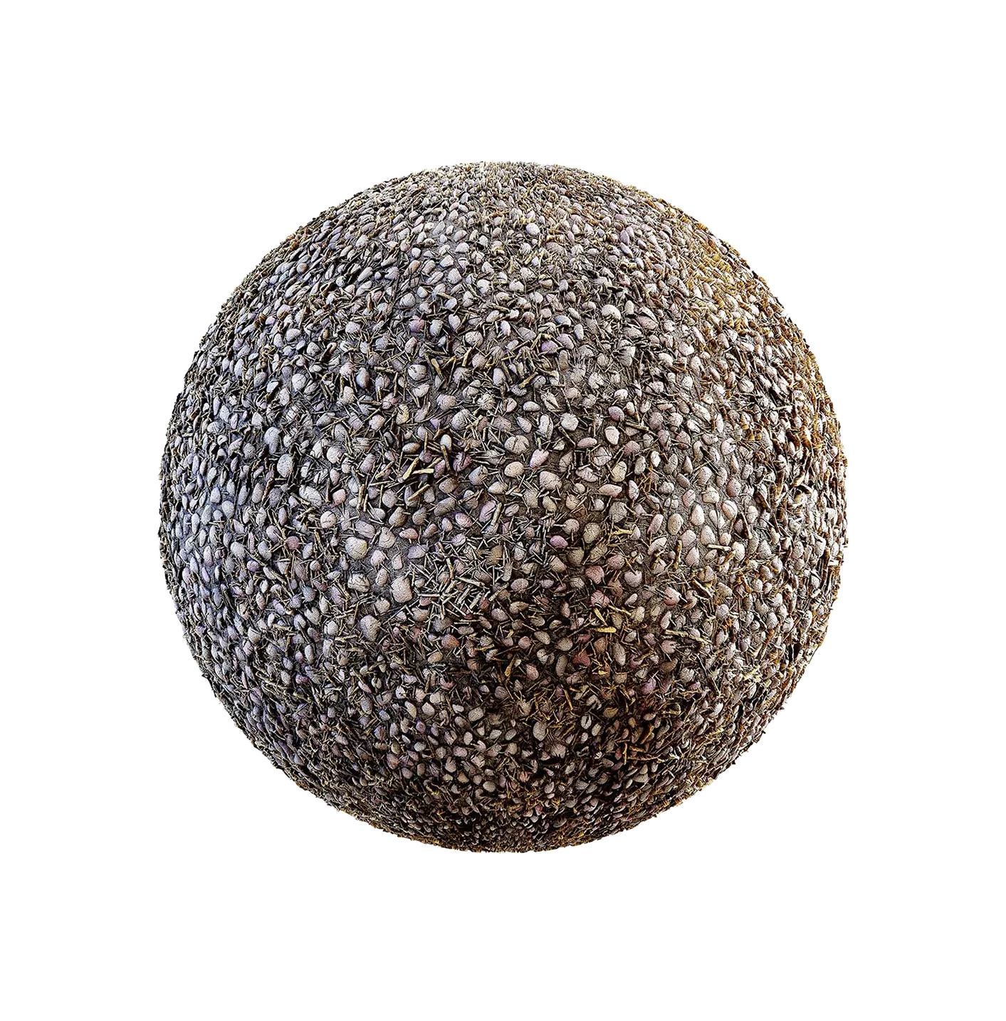 带树枝的路面2506102061