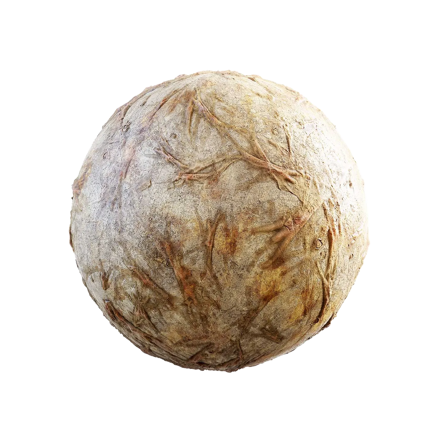 带皮的老骨头2506101142