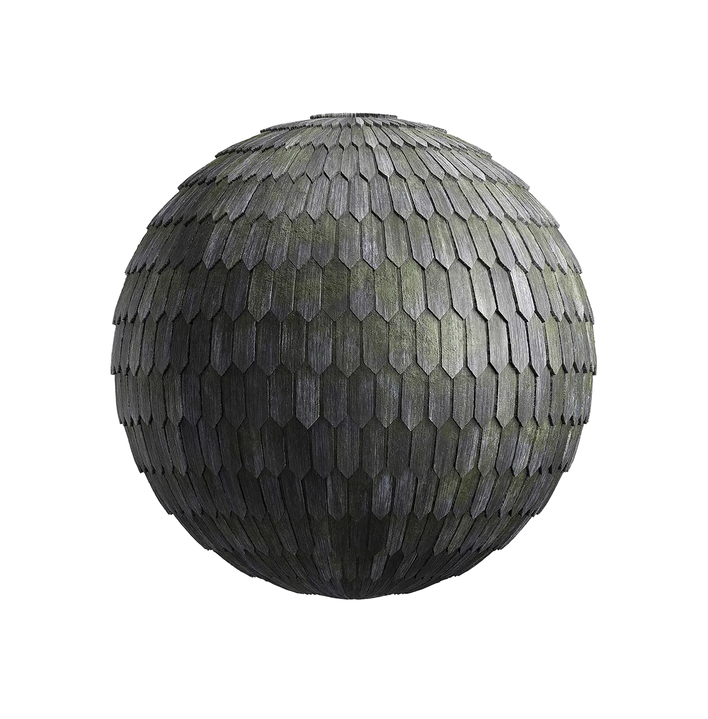 带苔藓的旧木屋顶2506101644