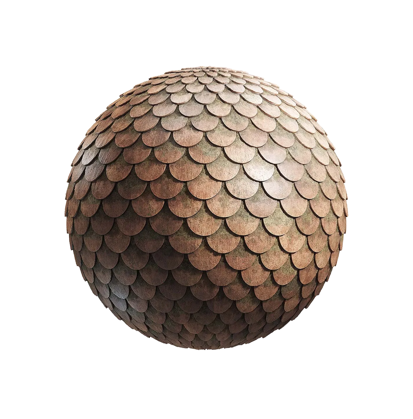 带苔藓的旧陶瓷屋顶2506101648