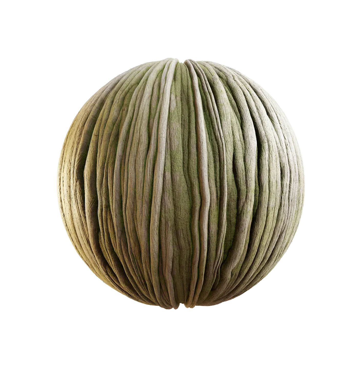 带苔藓的菩提树皮25060896