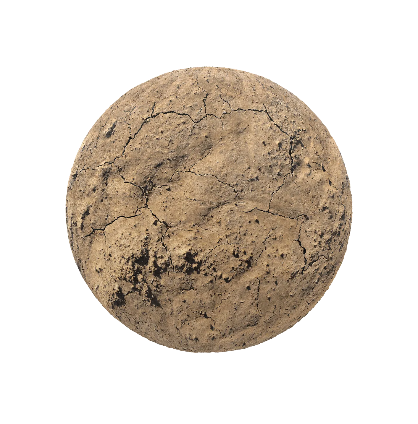 干裂纹泥土2506101441