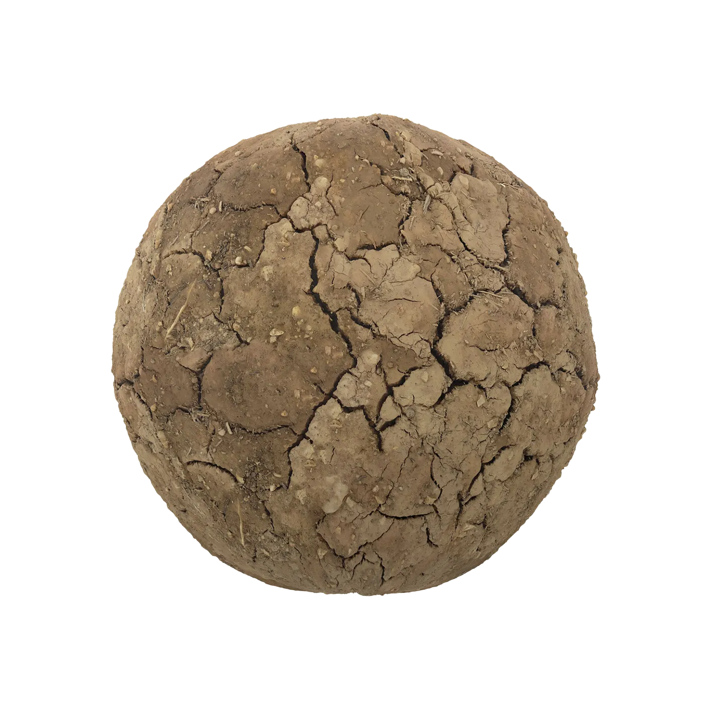 干裂纹泥土2506101444