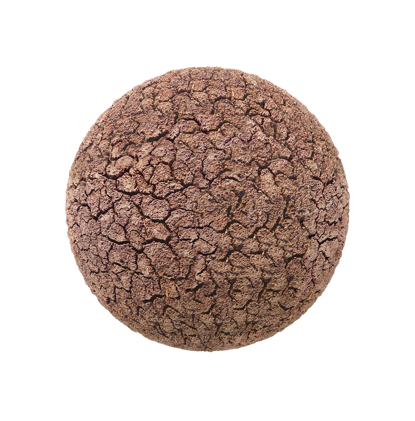 干裂纹泥土2506101445