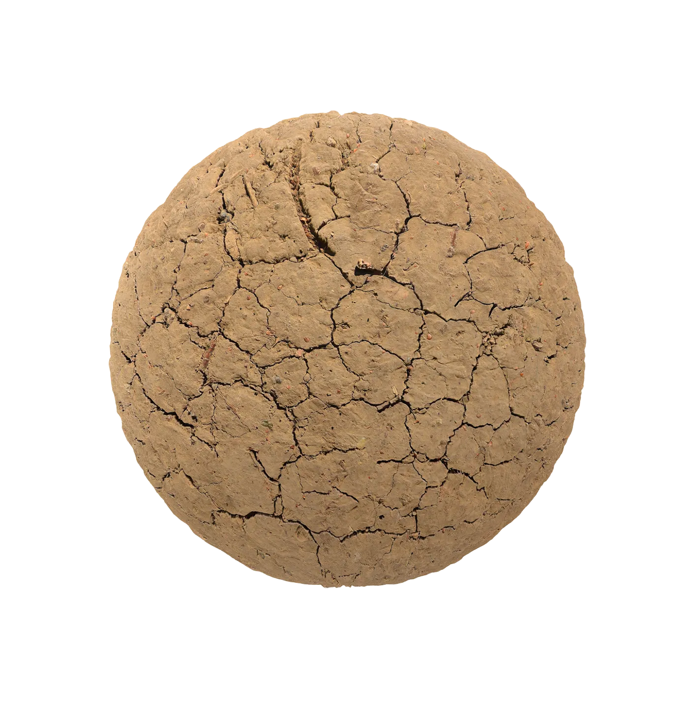 干裂纹泥土2506101446