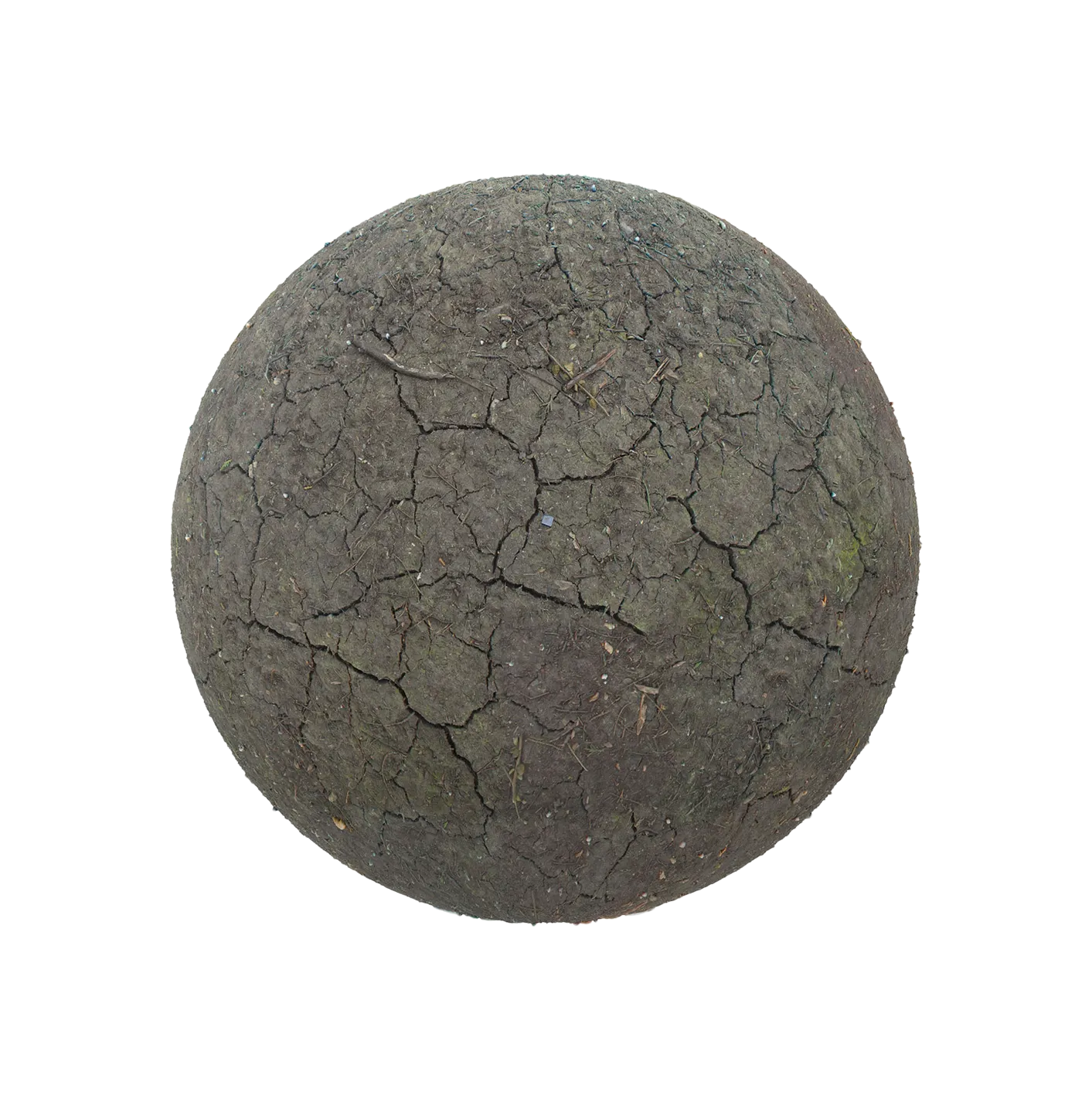 干裂纹泥土2506101448