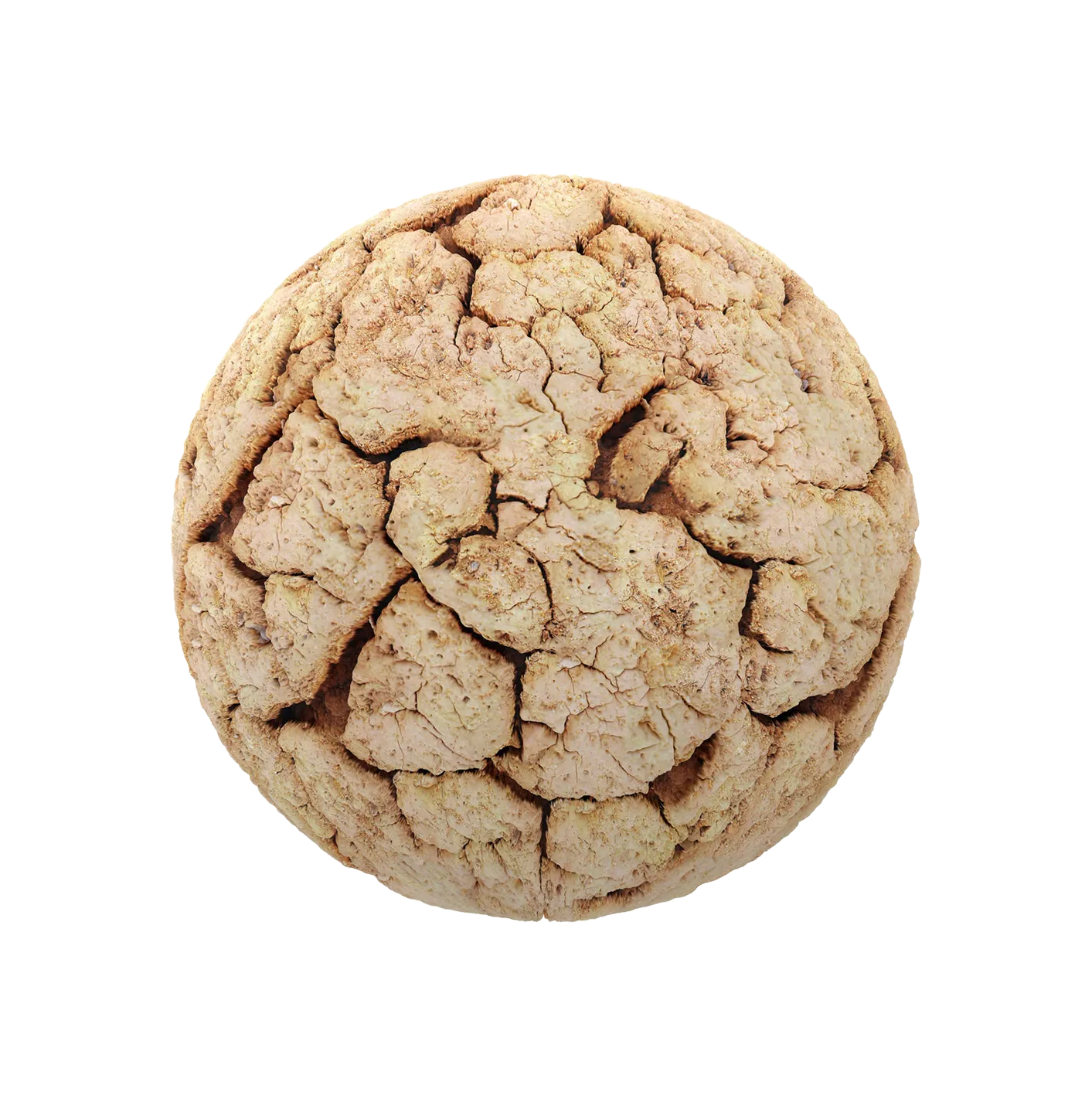 干裂纹泥土2506101455