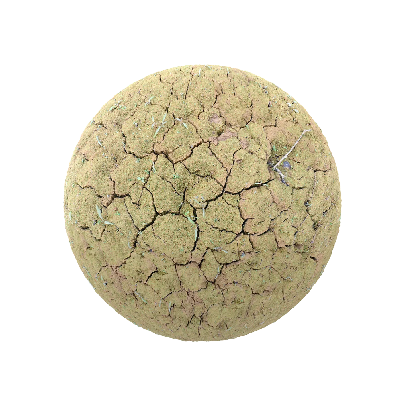 干裂纹泥土2506101456