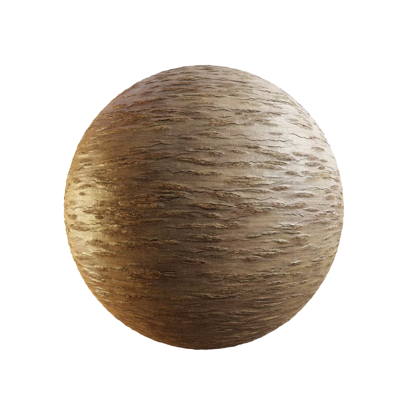 年轻的日本樱花树皮25060819