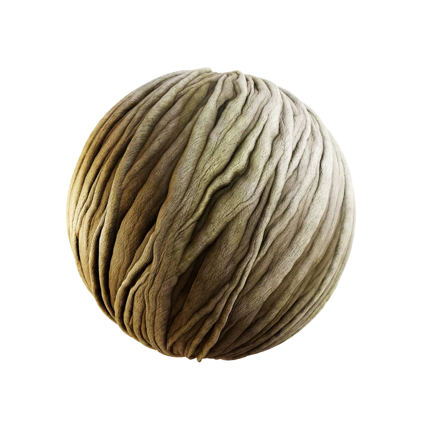 扭曲的菩提树皮25060820