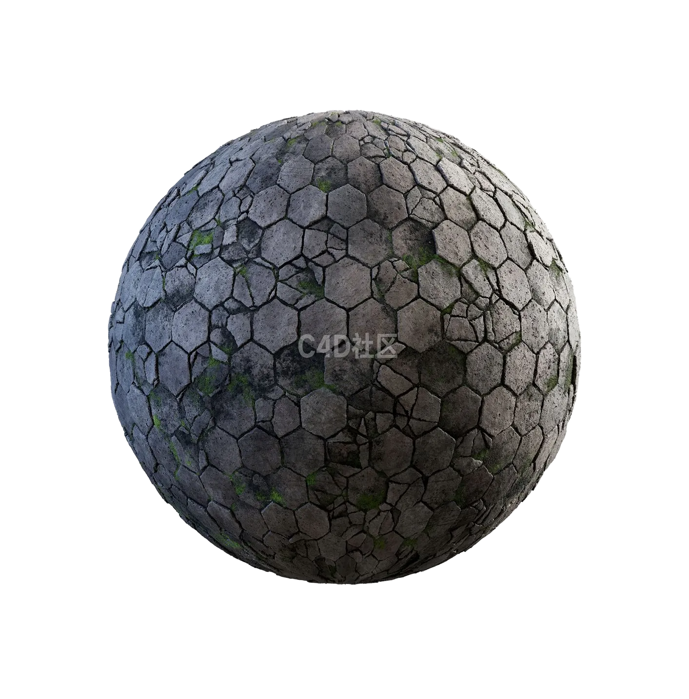 损坏六边形混凝土人行道带苔藓2506101064