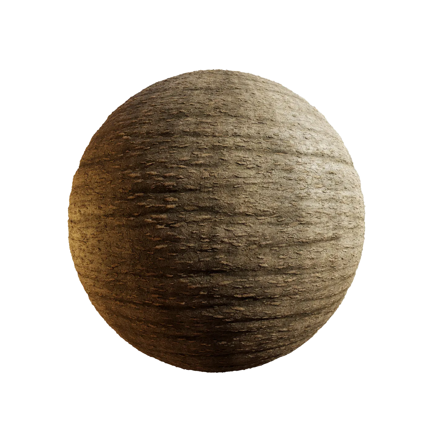 日本山梅花25060832