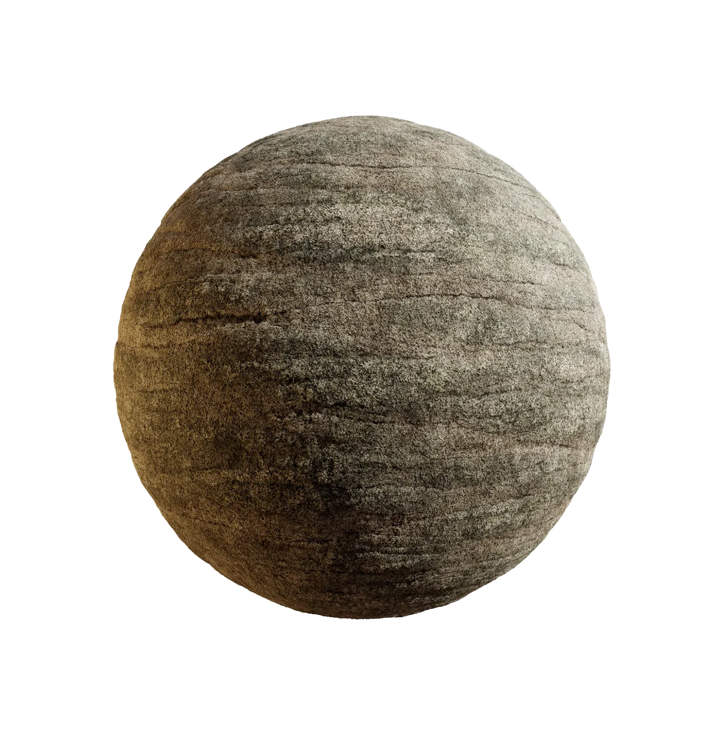 日本山梅花树皮25060834