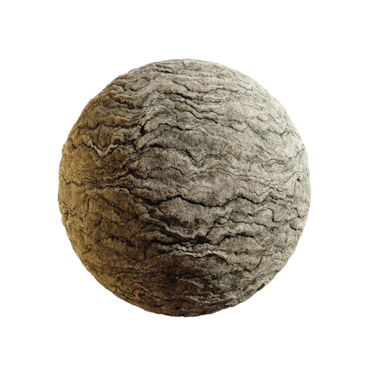 日本山梅花树皮25060836