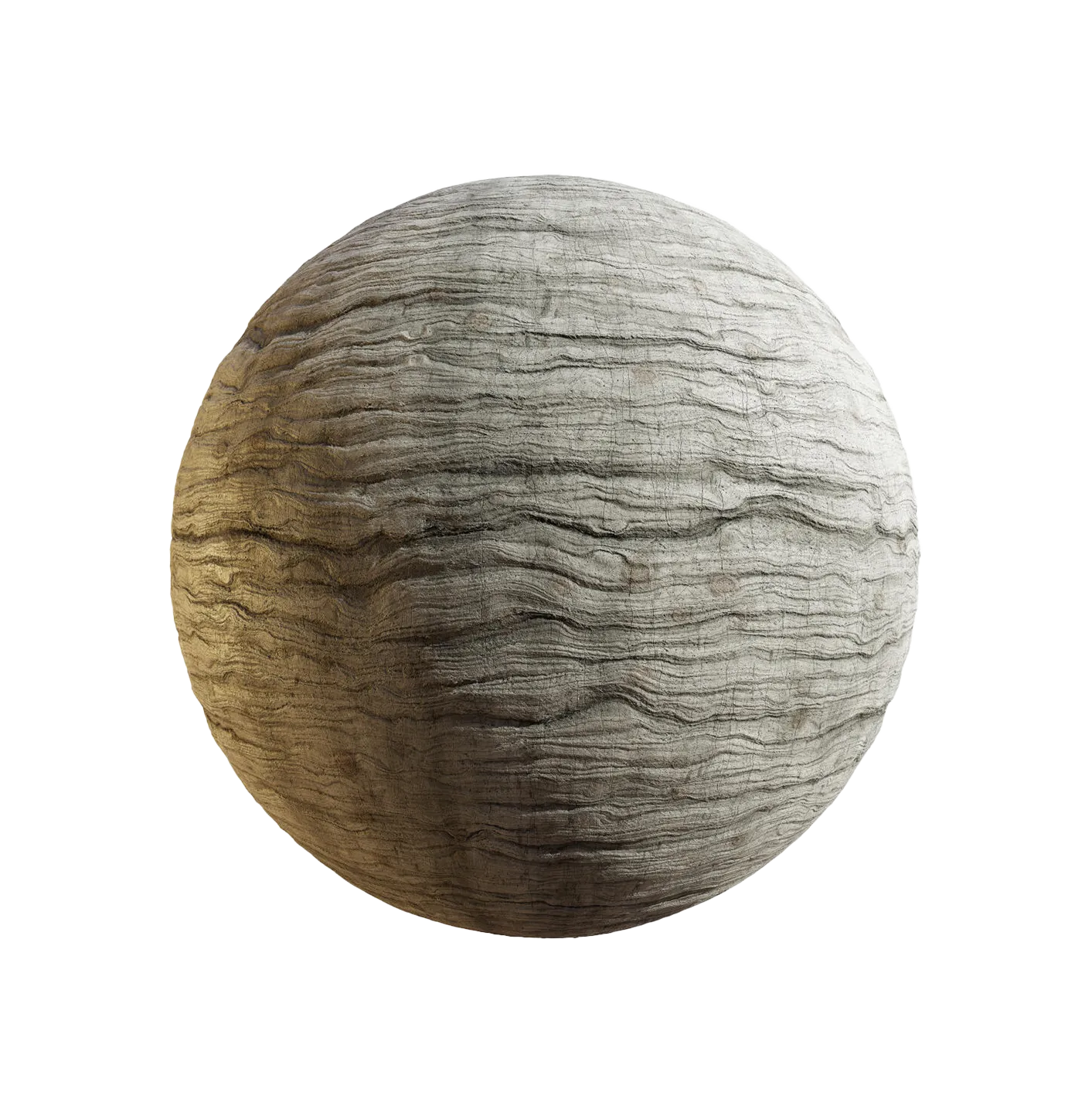 日本扇尾柳树皮25060837