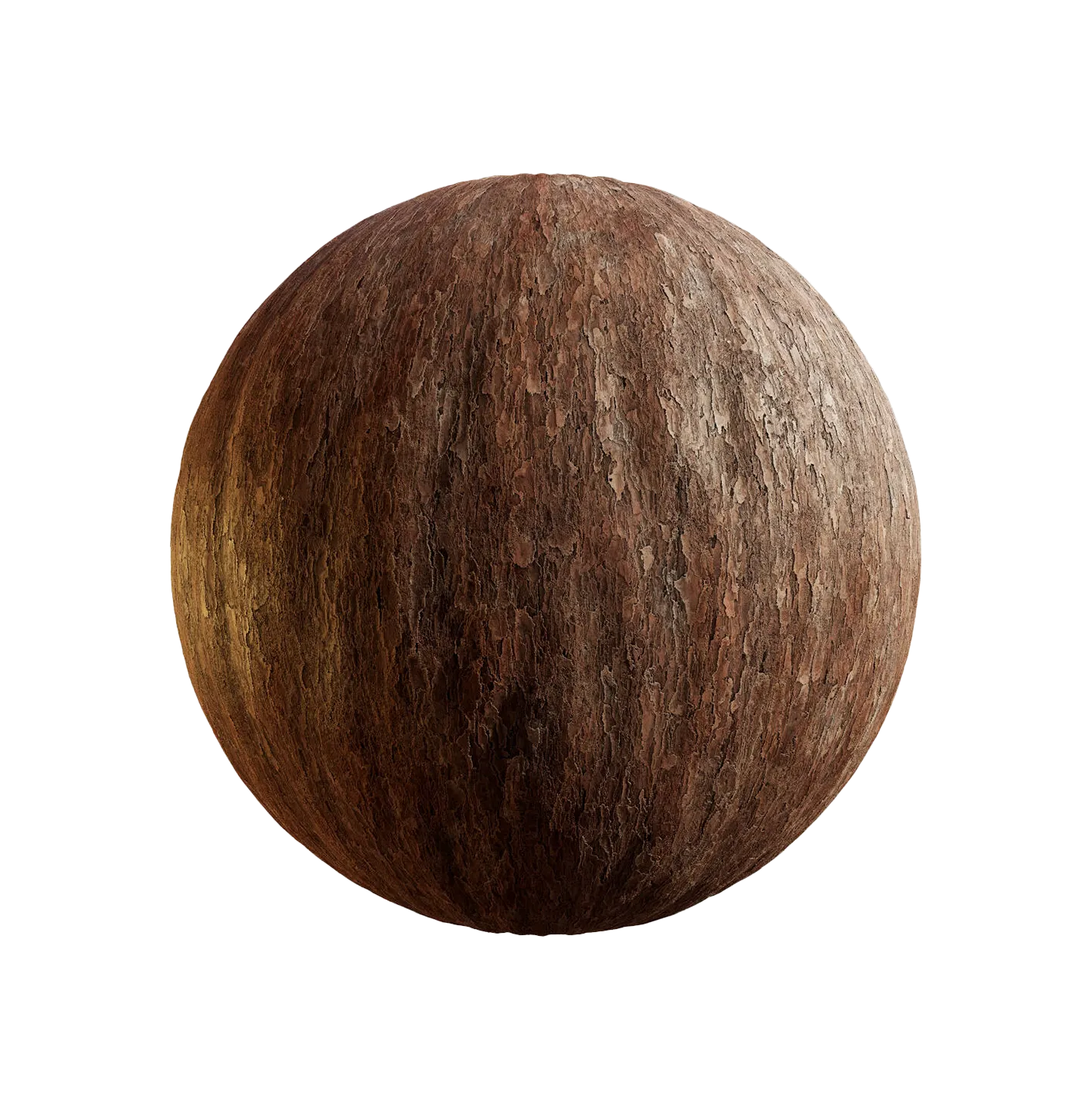 日本赤松树皮25060825