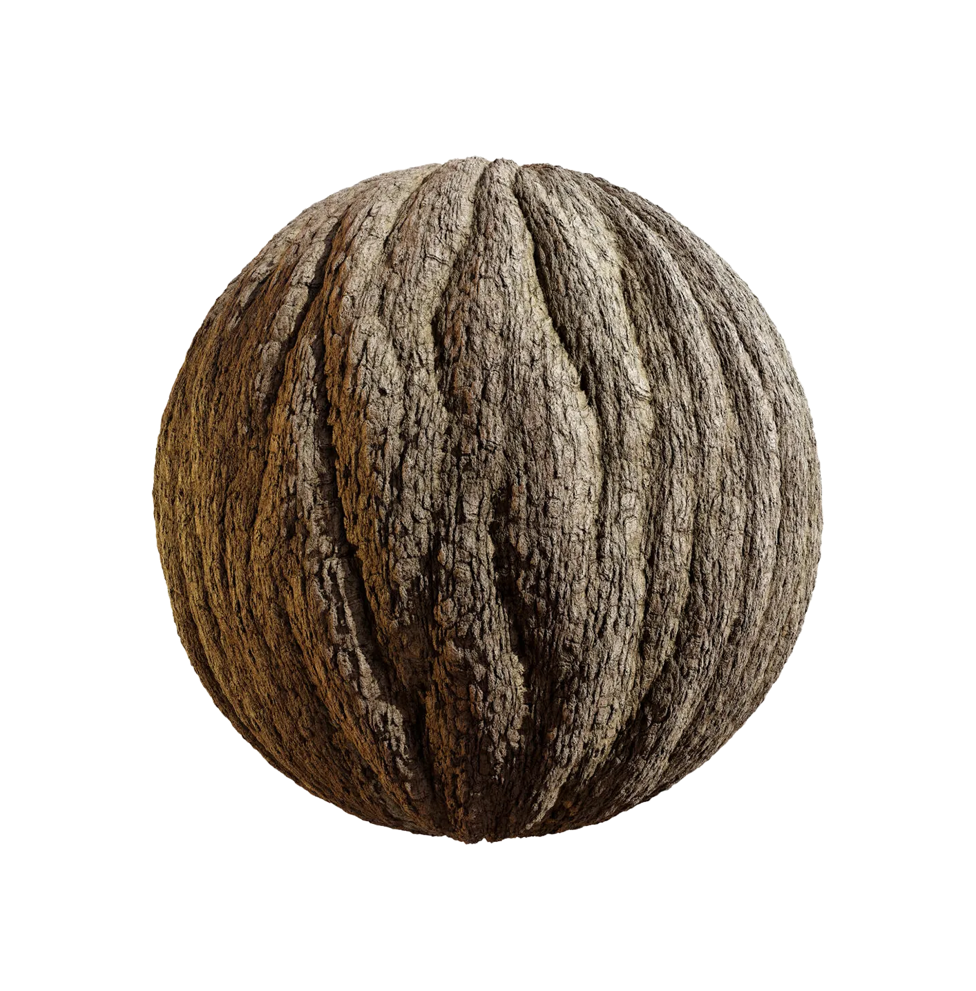 杜鹃花树皮25060801