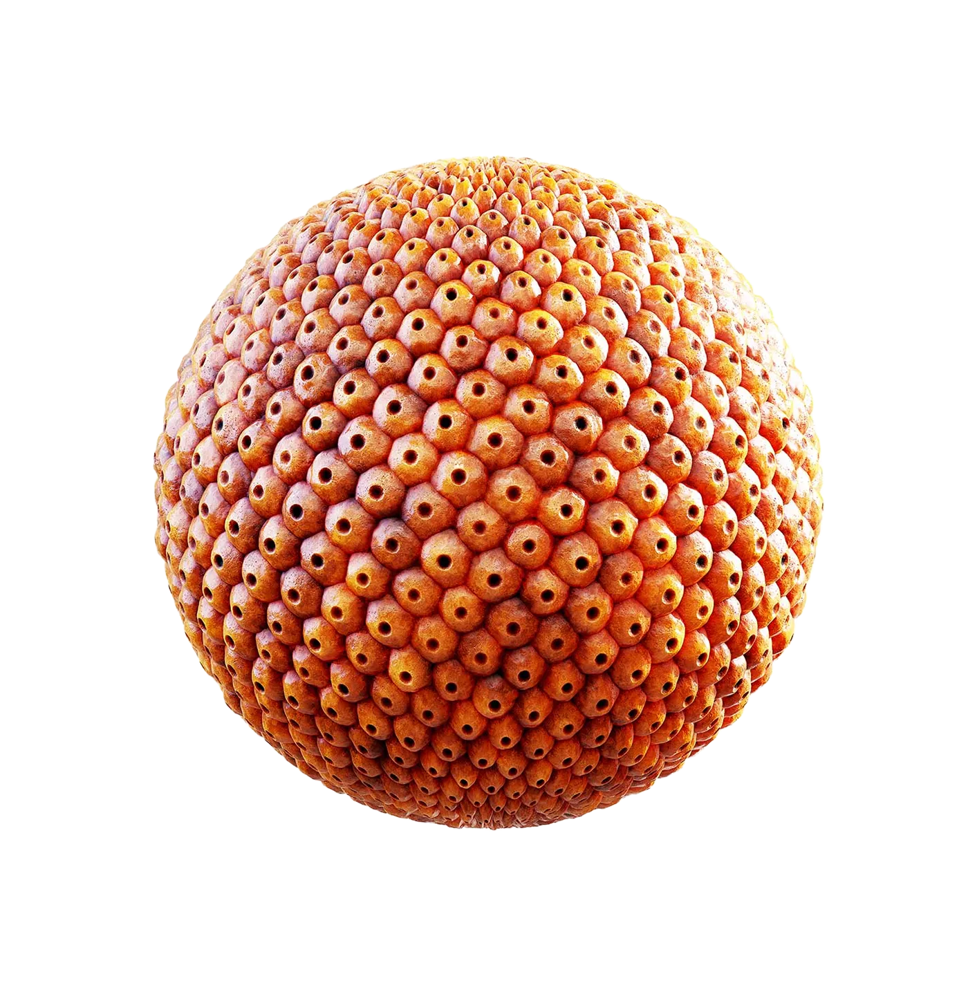 橙色昆虫巢2506101147