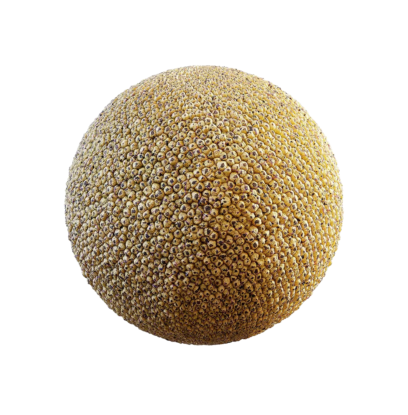 橙色生物皮肤2506101144