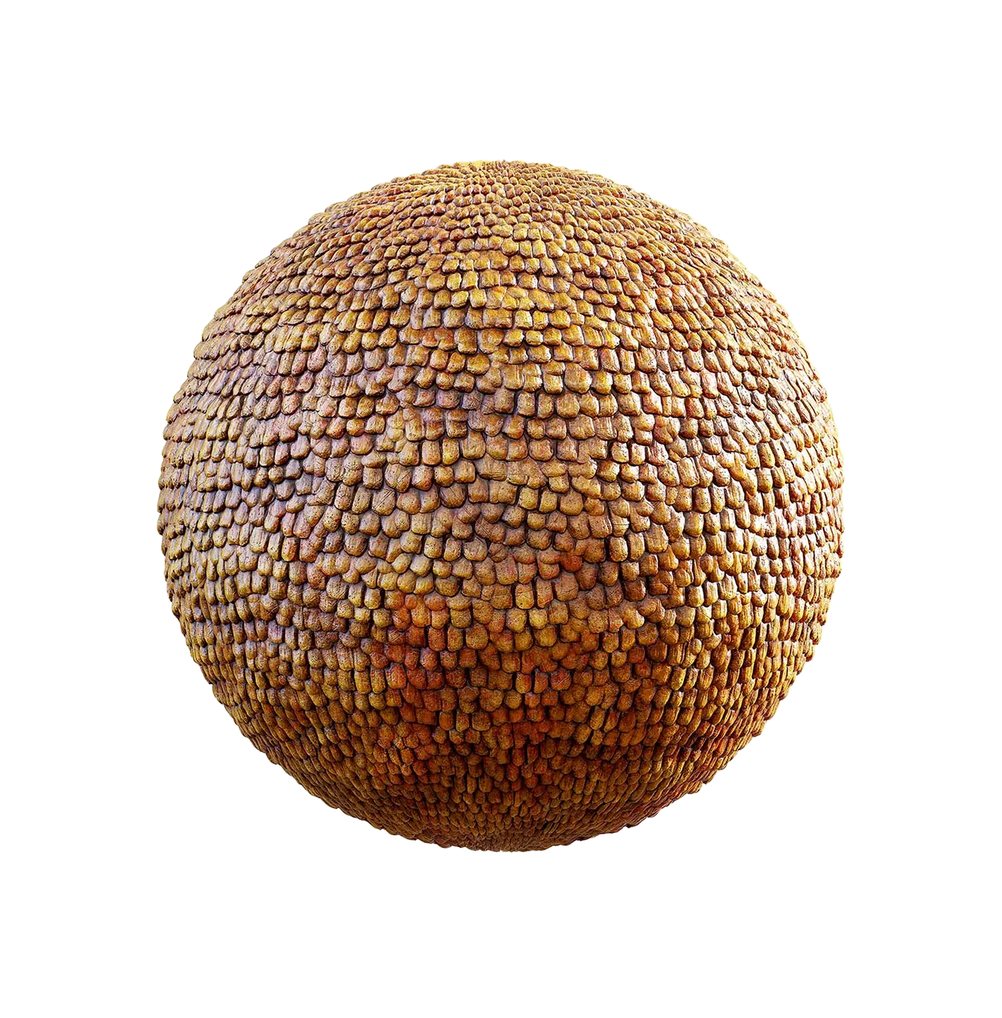 橙色鳞片2506101148