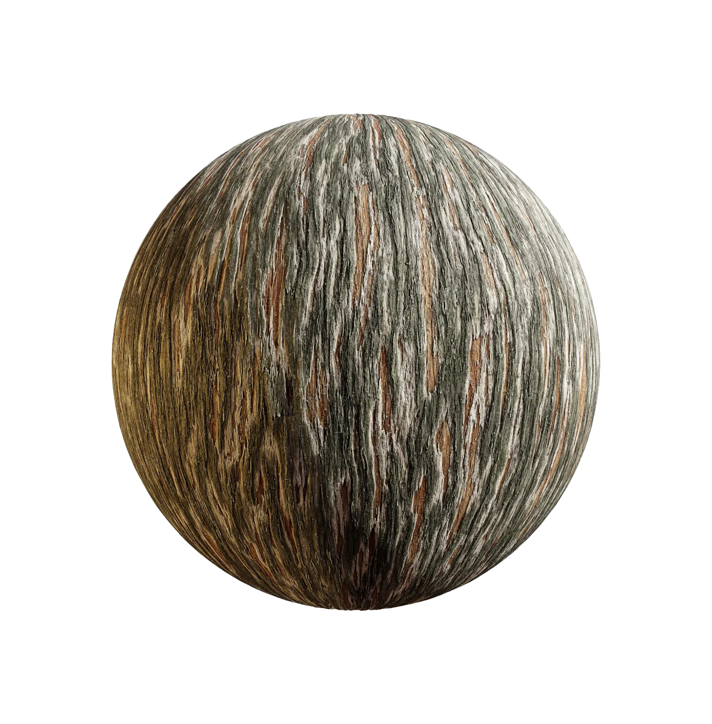 水杉树皮25060852