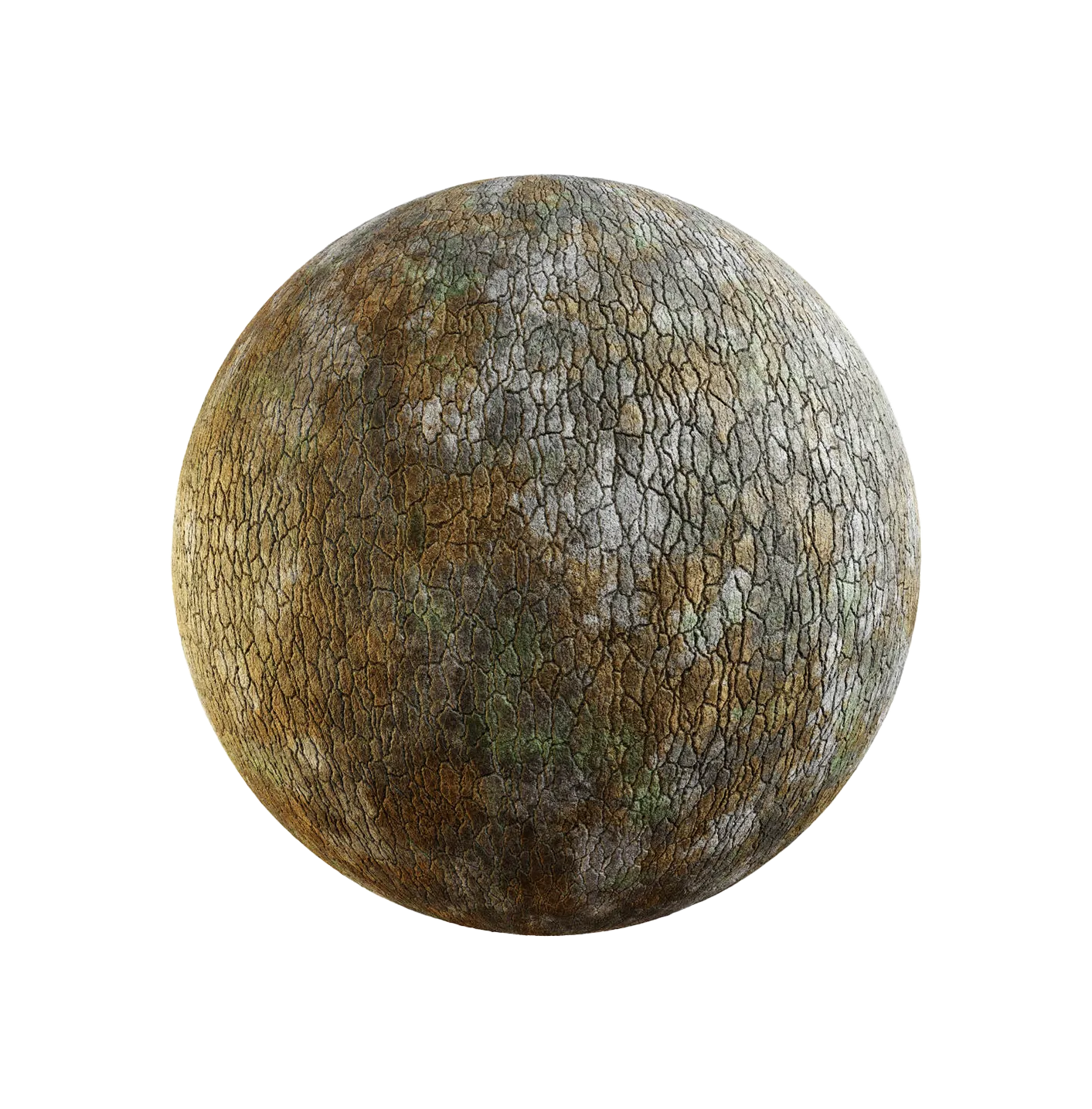 沉香木树皮25060889