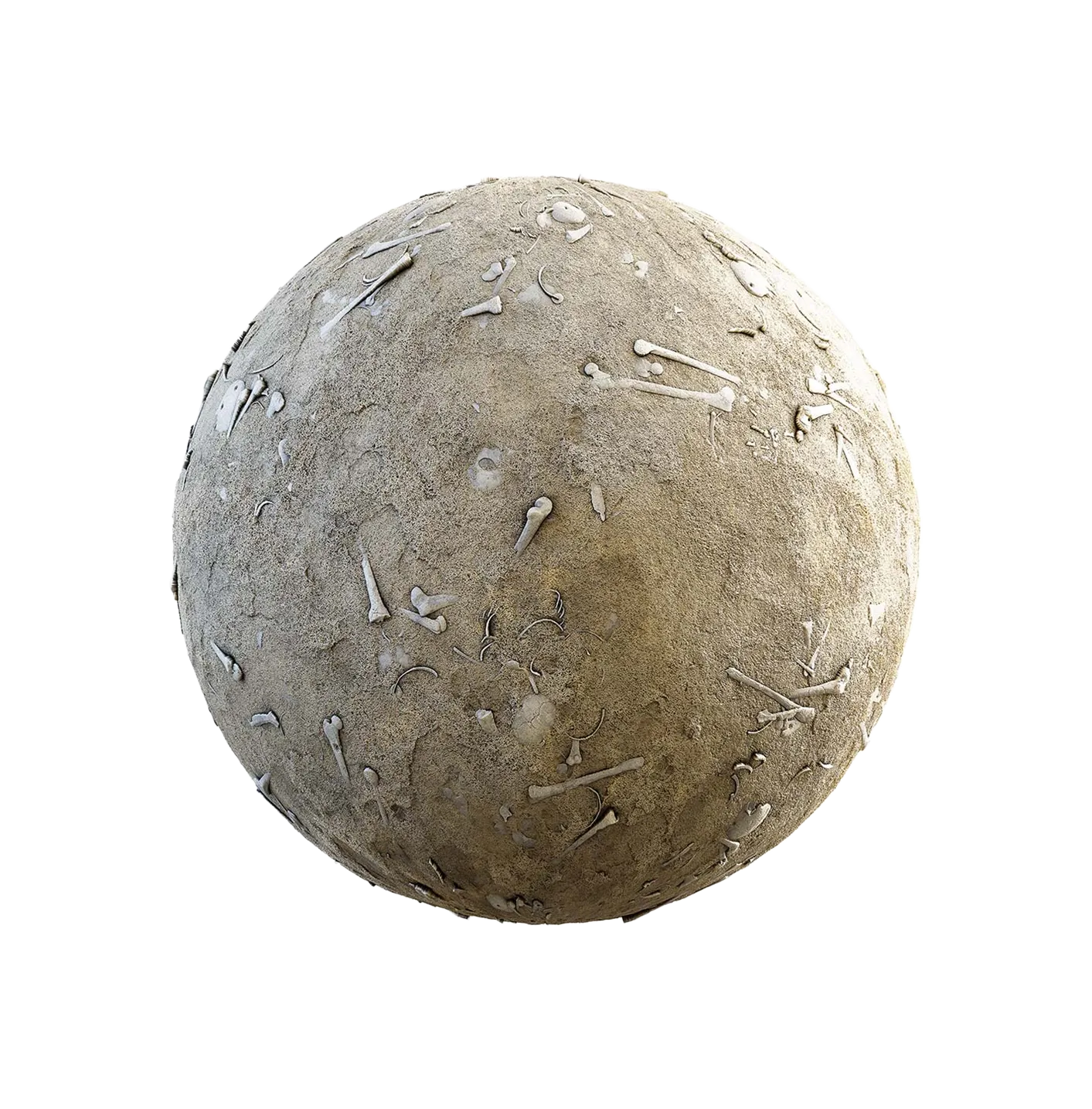 沙漠上的骨头250610534