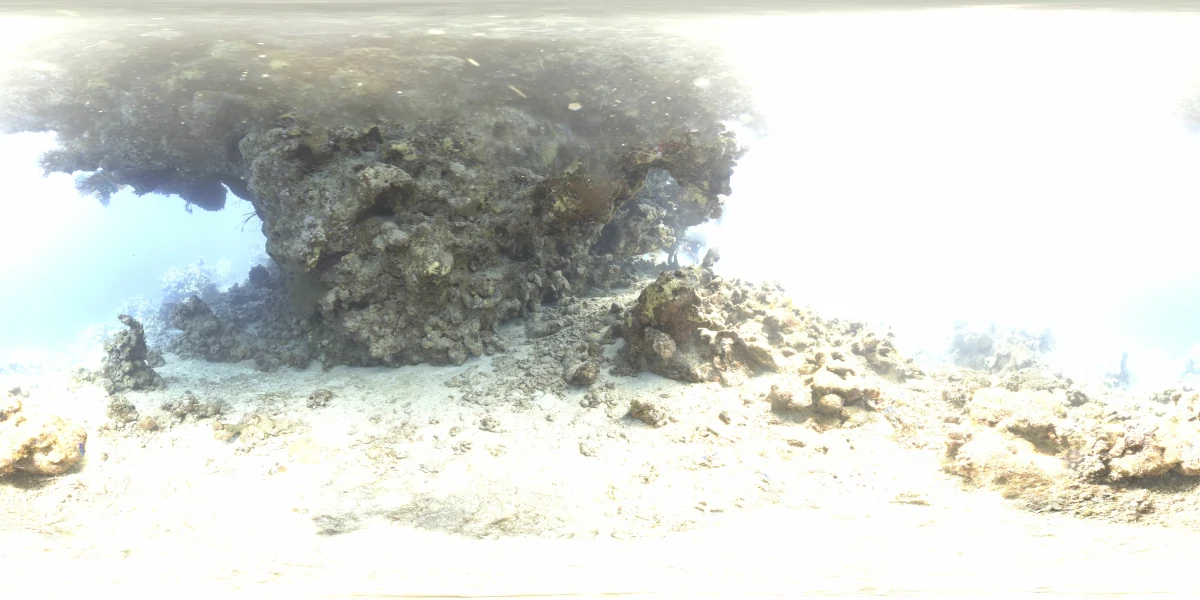 海洋环境水下世界-01