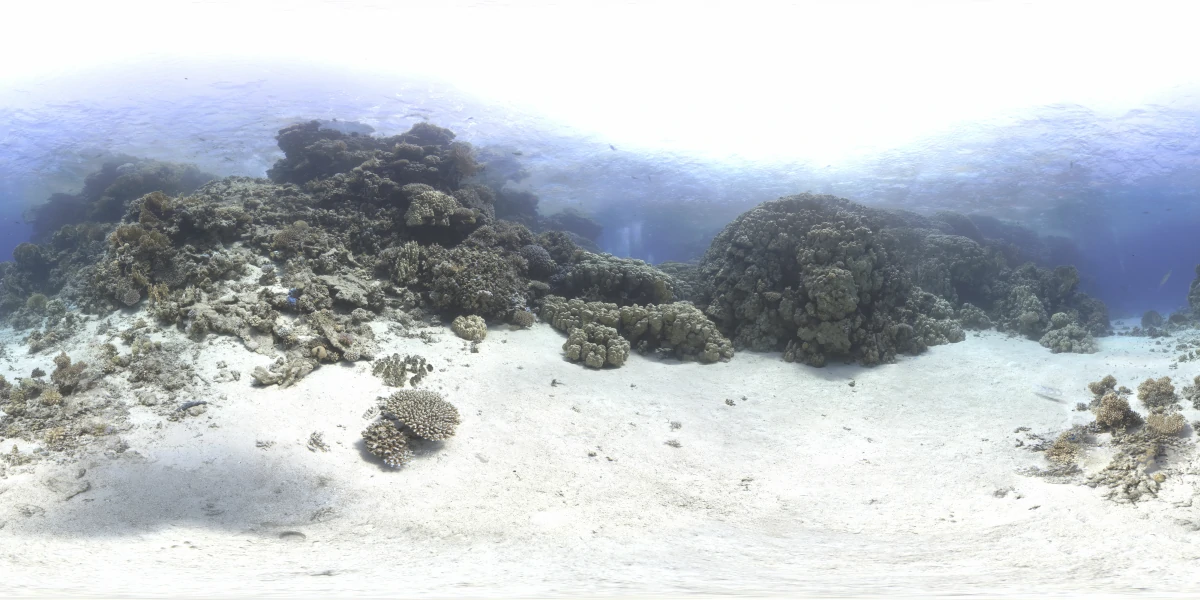 海洋环境水下世界-02