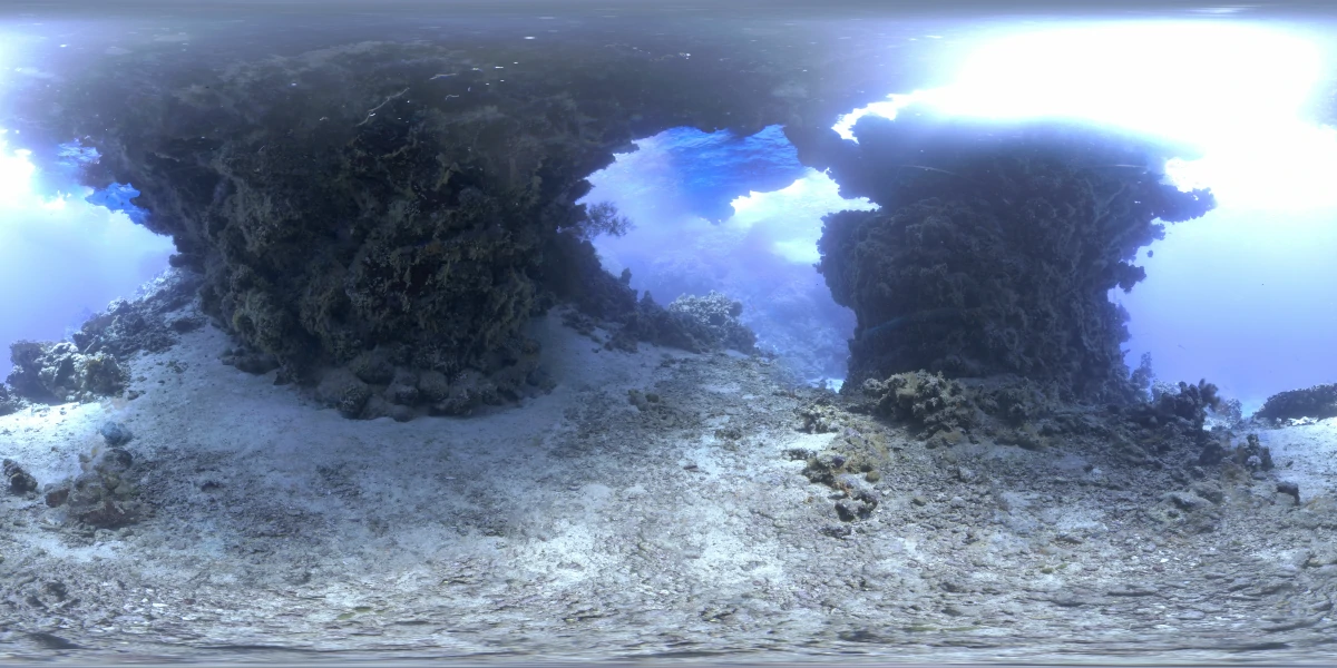 海洋环境水下世界-05