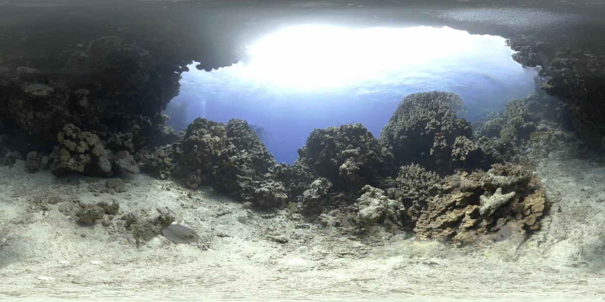 海洋环境水下世界-08