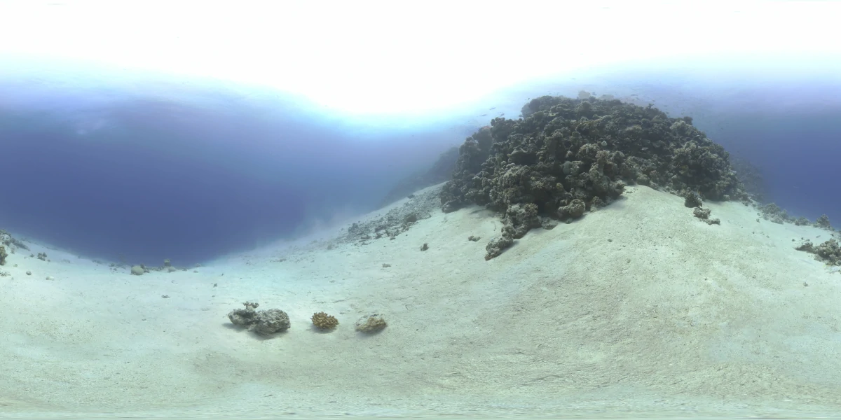 海洋环境水下世界-09