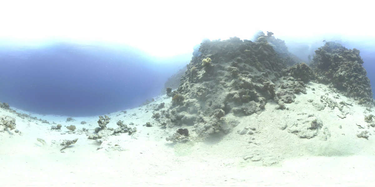 海洋环境水下世界-10