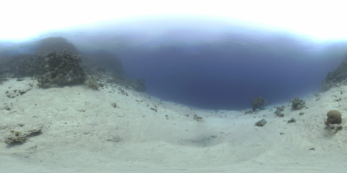 海洋环境水下世界-12