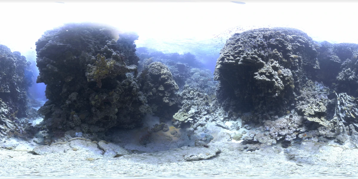 海洋环境水下世界-13