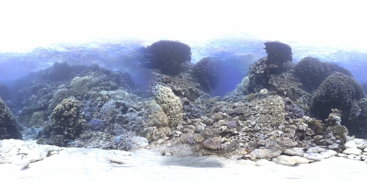 海洋环境水下世界-14